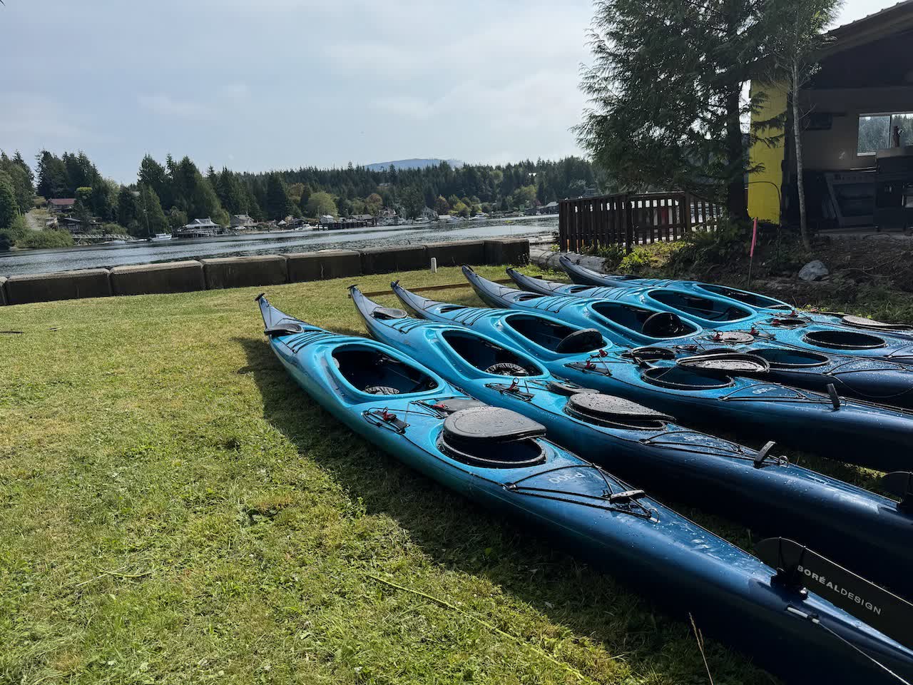 Row of blue sea kayaks staged on grass beside the Bamfield inlet