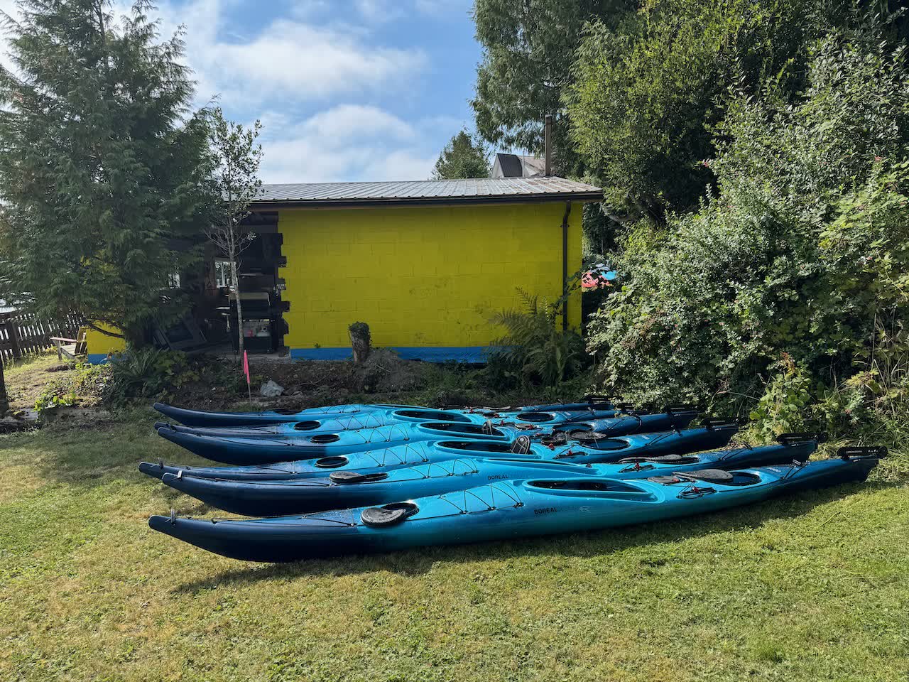 Sea kayaks lined up on the lawn beside the bright yellow Woods End Landing building